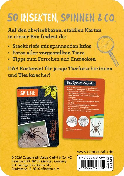 50 Insekten, Spinnen & Co.