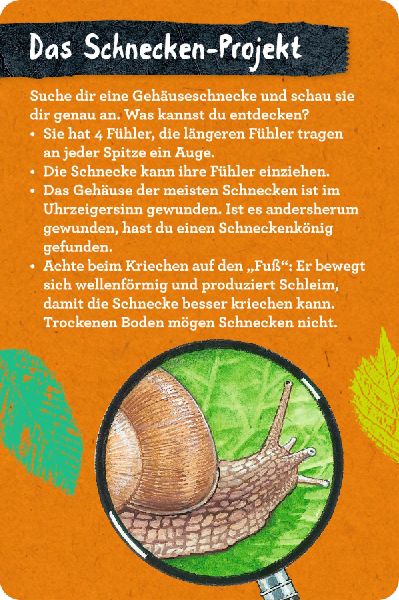 50 Insekten, Spinnen & Co.
