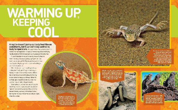 National Geographic Kids Ultimate Reptileopedia