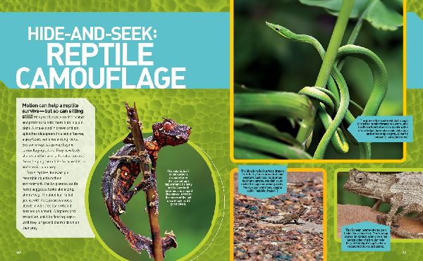 National Geographic Kids Ultimate Reptileopedia