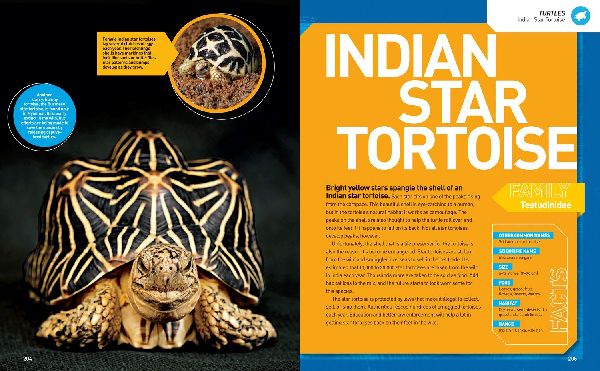 National Geographic Kids Ultimate Reptileopedia