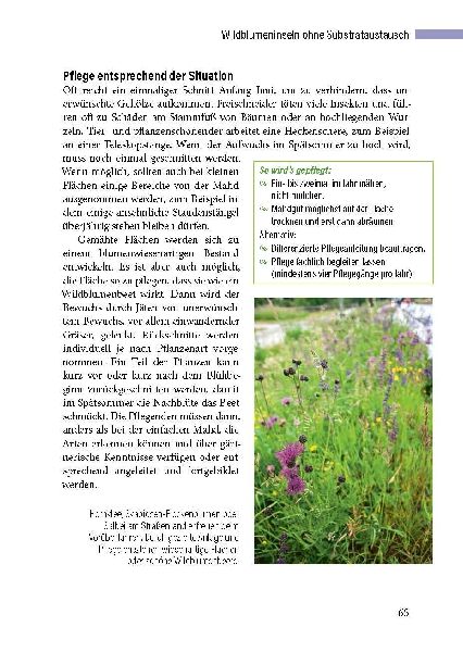 Öffentliche und gewerbliche Grünflächen naturnah