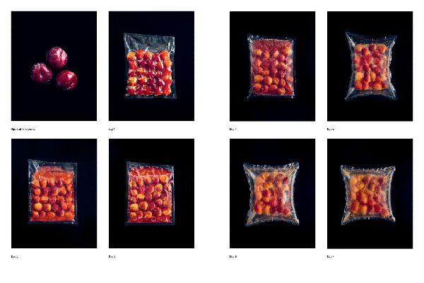 Foundations of Flavor: The Noma Guide to Fermentation