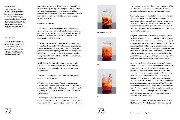 Foundations of Flavor: The Noma Guide to Fermentation