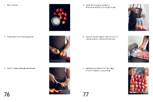 Foundations of Flavor: The Noma Guide to Fermentation