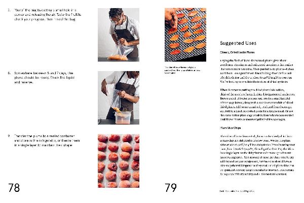 Foundations of Flavor: The Noma Guide to Fermentation