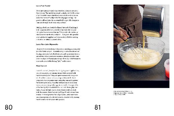 Foundations of Flavor: The Noma Guide to Fermentation