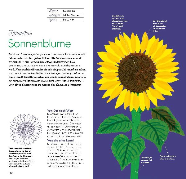 Magie der Blumen