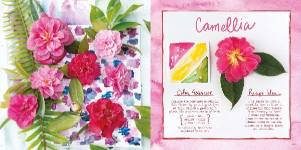 Watercolor Food