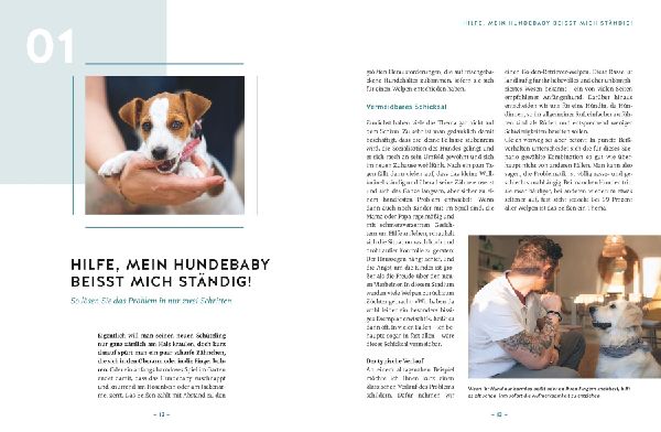 Hilfe, mein Hund macht, was er will!