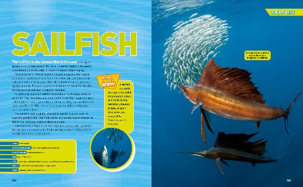 National Geographic Kids Ultimate Oceanpedia
