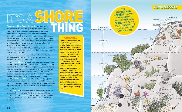 National Geographic Kids Ultimate Oceanpedia