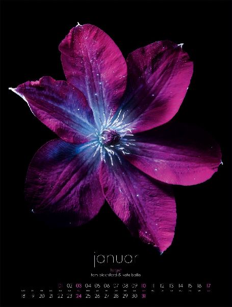 in bloom Kalender 2027