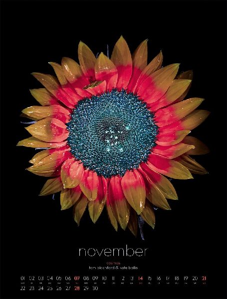 in bloom Kalender 2027