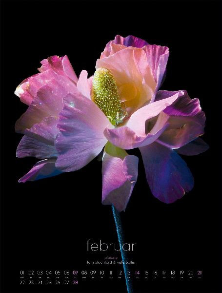 in bloom Kalender 2027