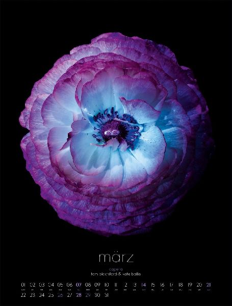 in bloom Kalender 2027