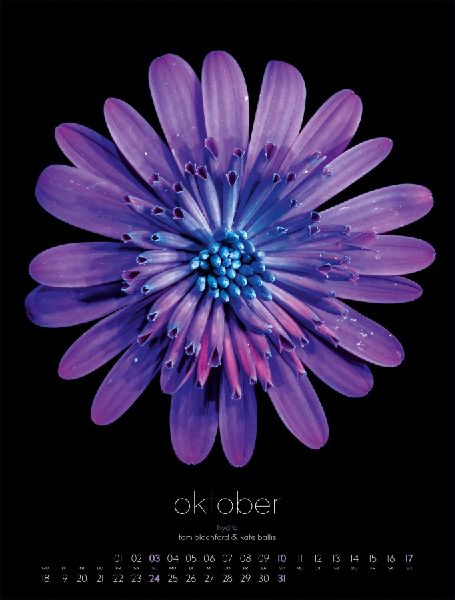 in bloom Kalender 2027