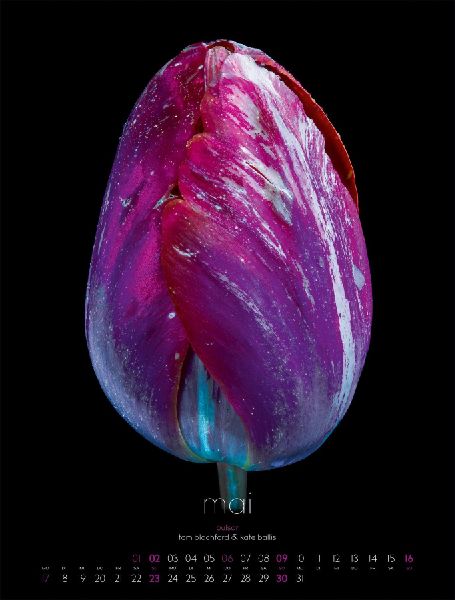 in bloom Kalender 2027