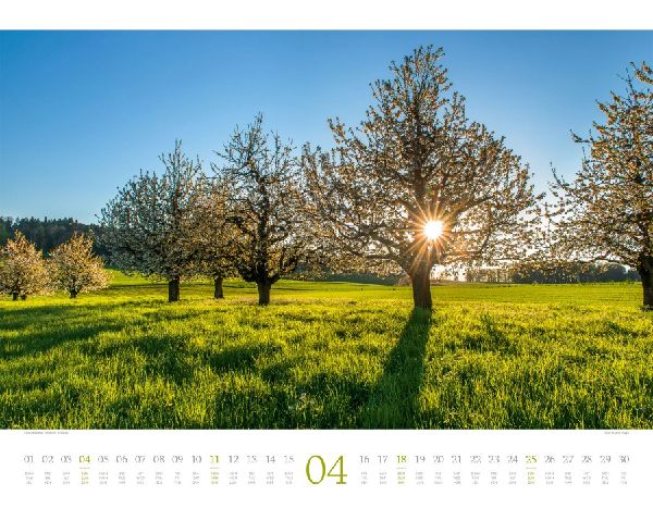 Morgenlicht Kalender 2027