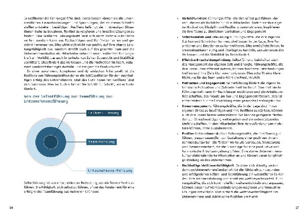 ResilienzBooster