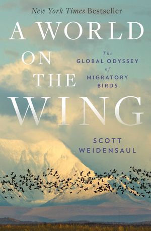 A World on the Wing