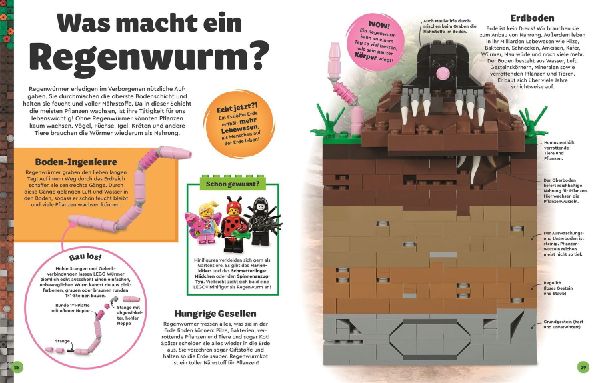 LEGO® Entdecke die Erde