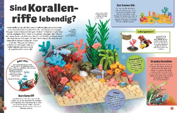 LEGO® Entdecke die Erde
