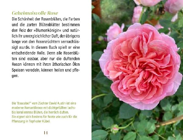 Rosen für Genießer