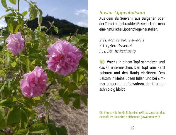 Rosen für Genießer