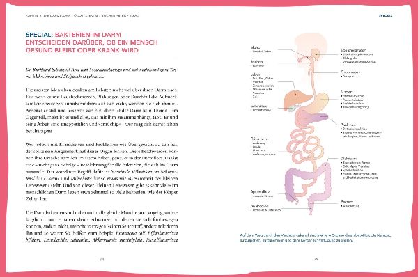 Das hilft bei Leaky Gut - Wie ein durchlässiger Darm uns krank macht und was wir dagegen tun können. Alles über Reizdarm & Co.