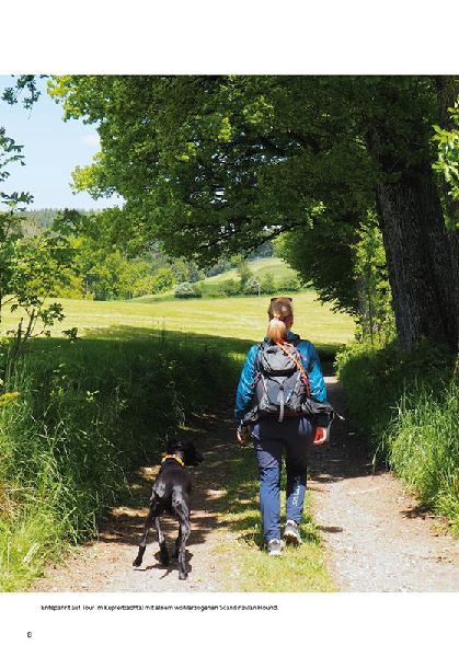 Die schönsten Wanderungen mit Hunden im Großraum München