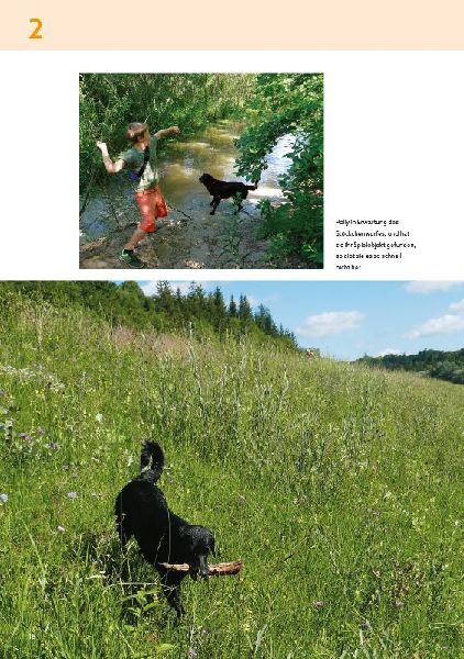Die schönsten Wanderungen mit Hunden im Großraum München