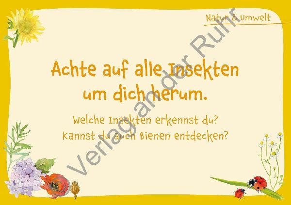 Morgenkreis - mal ganz achtsam