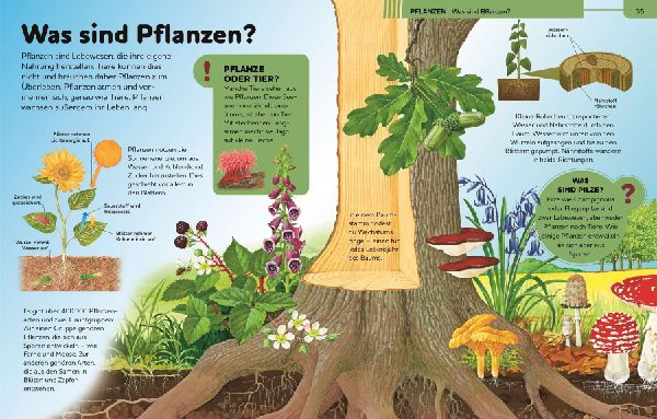 Das große Kinderlexikon Grundschulwissen