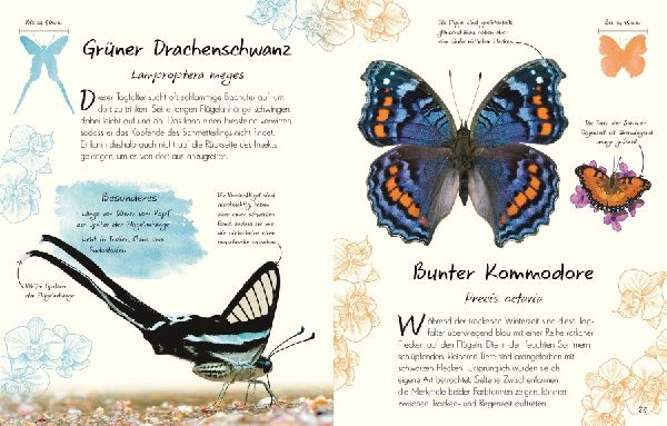 Wundervolle Welt - Kleine Schätze. Schmetterlinge