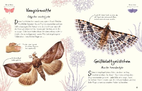 Wundervolle Welt - Kleine Schätze. Schmetterlinge