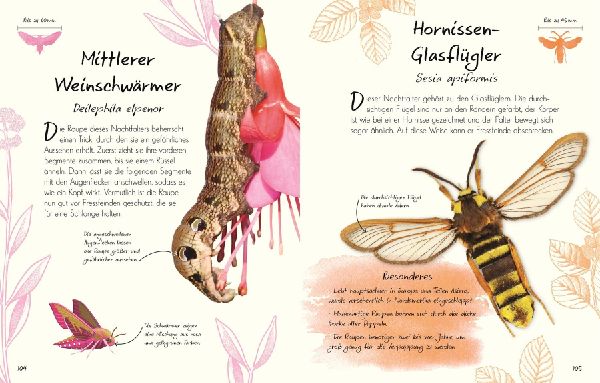 Wundervolle Welt - Kleine Schätze. Schmetterlinge