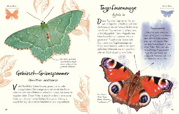 Wundervolle Welt - Kleine Schätze. Schmetterlinge