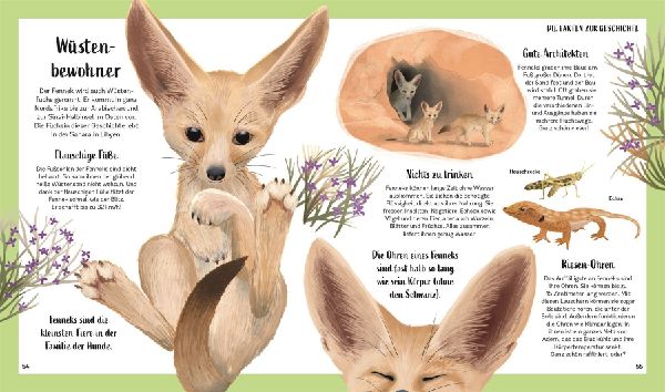 Tiergeschichten zum Träumen. Zauber der Nacht