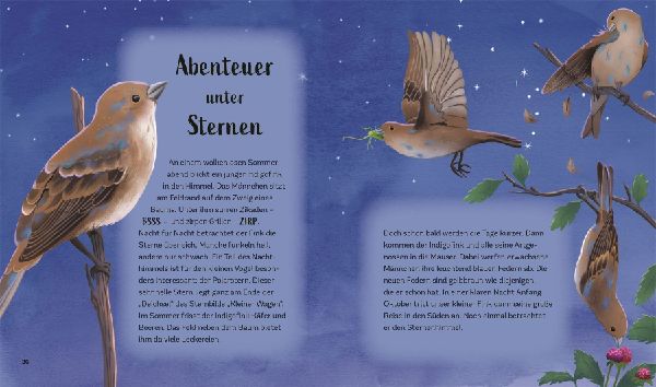Tiergeschichten zum Träumen. Zauber der Nacht