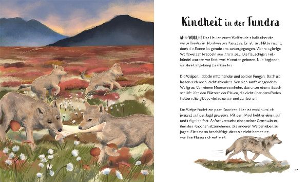 Tiergeschichten zum Träumen. Zauber der Nacht