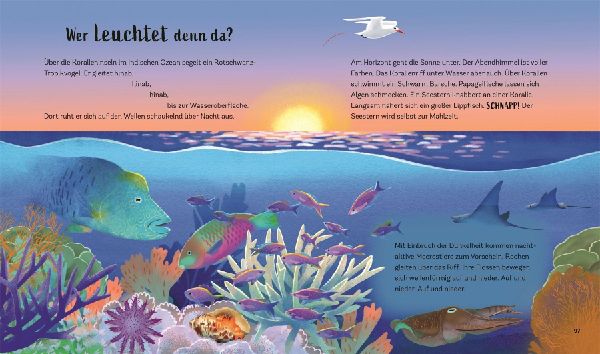 Tiergeschichten zum Träumen. Zauber der Nacht