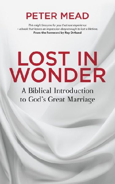 Lost in Wonder