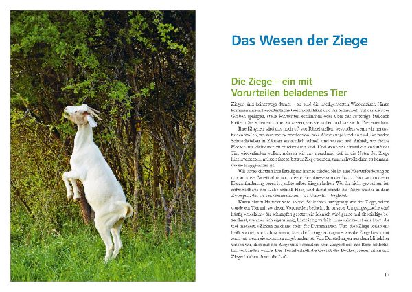Alles für die Ziege