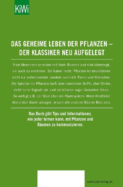 Der Ruf der Rose
