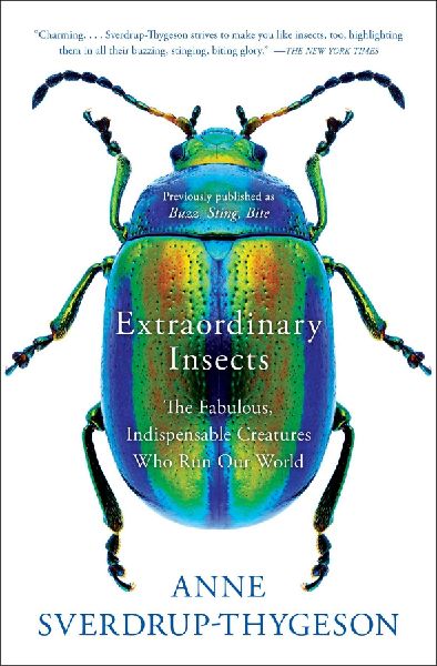 Extraordinary Insects