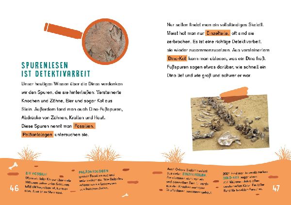 Dein Lesestart - Dinosaurier