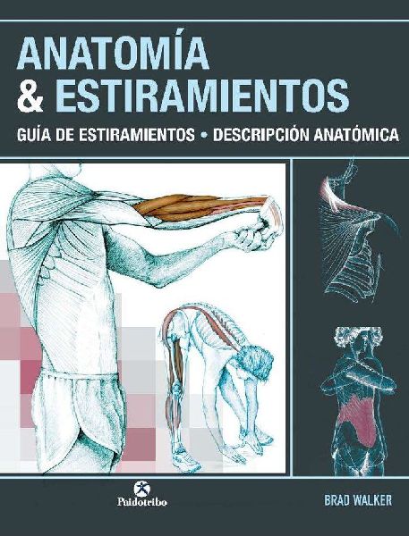 Anatomía & estiramientos : guía de estiramientos : descr...