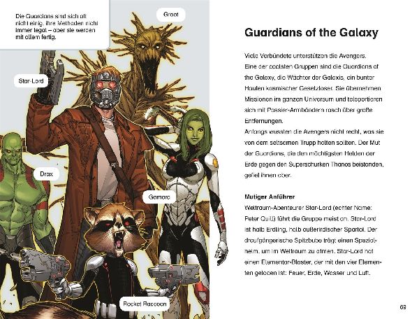 SUPERLESER! MARVEL Avengers Die Welt der Superhelden
