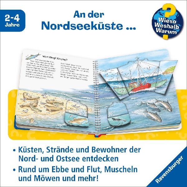Wieso? Weshalb? Warum? junior, Band 17: Am Meer